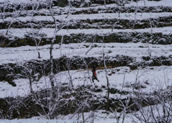 Vremenska prognoza: Kraj januara donosi promenljivo i nestabilno vreme