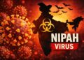 SZO: Rizik od širenja virusa Nipah van Indije ostaje nizak