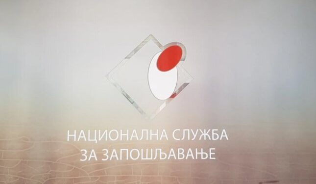 Foto: Shutterstock.com/VladaKg03, ilustracija