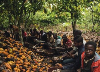 Švajcarsku čokoladu prave deca robovi: Sud razotkrio monstruoznu istinu