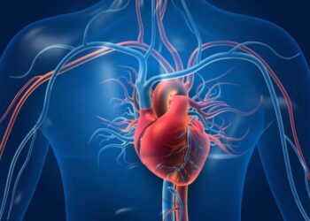 Здраве артерије почињу на тањиру