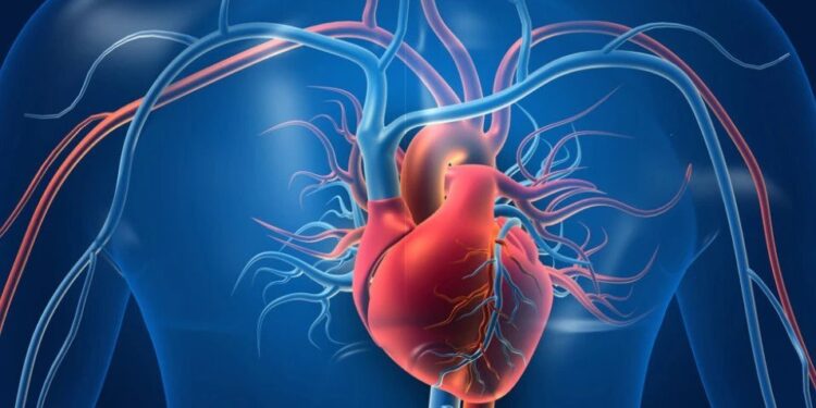 Zdrave arterije počinju na tanjiru