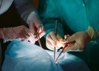 Нова јавна расправа о Закону о пресађивању органа