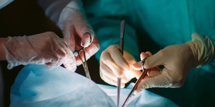 Nova javna rasprava o Zakonu o presađivanju organa