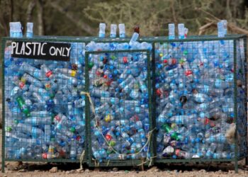 ЗЕЛЕНИ РАЗВОЈ УЗ ПОДРШКУ ДРЖАВЕ