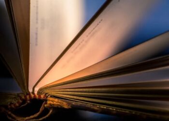 СТЕРИЈА У ЈАПАНУ