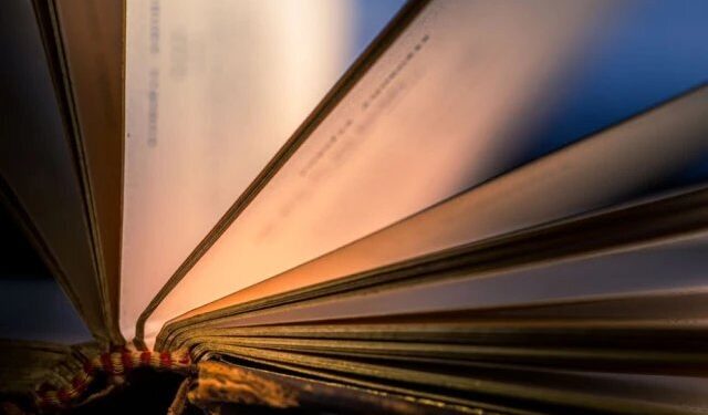 СТЕРИЈА У ЈАПАНУ