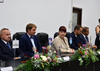 БАЧКИ ПЕТРОВАЦ: СНАГА ЛОКАЛНЕ ДИПЛОМАТИЈЕ