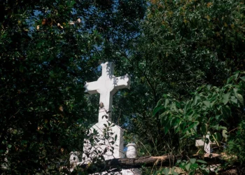 Foto: Shutterstock.com/gorkemkeser, ilustracija