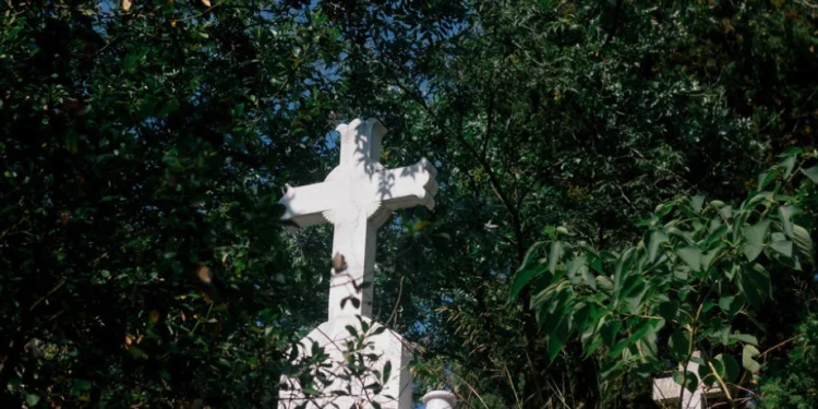 Foto: Shutterstock.com/gorkemkeser, ilustracija