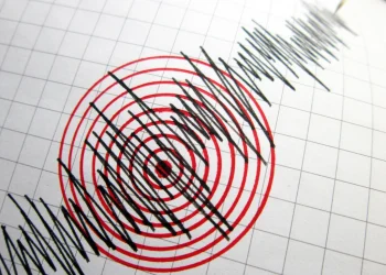 Foto: Shutterstock.com/menur, ilustracija