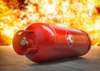 Foto: Shutterstock.com/Maxx-Studio, ilustracija