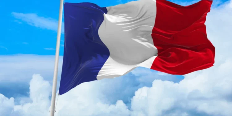 Foto: Shutterstock.com/Maxim Studio, ilustracija