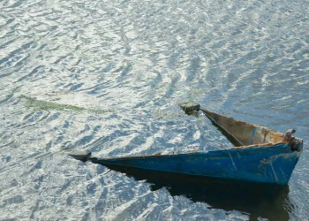 Foto: Shutterstock.com/ManoloSama, ilustracija