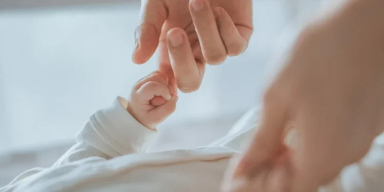 Foto: Shutterstock.com/oatawa, ilustracija