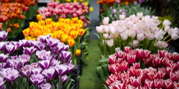 Foto: TANJUG/JADRANKA ILIĆ