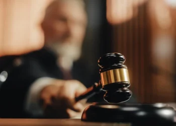 Foto: shutterstock.com/Gorodenkoff, ilustracija