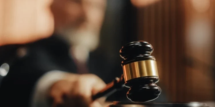 Foto: shutterstock.com/Gorodenkoff, ilustracija