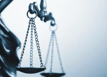 Foto: Shutterstock.com/Sergii Gnatiuk, ilustracija