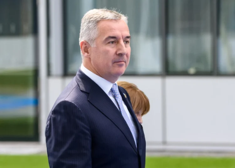 Foto: Shutterstock.com/Gints Ivuskans, arhiva