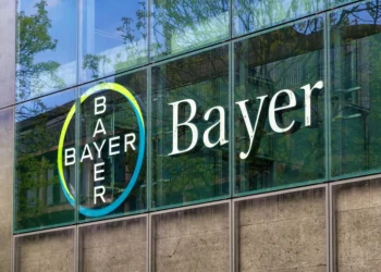 Foto: Shutterstock.cpom/Taljat David, ilustracija