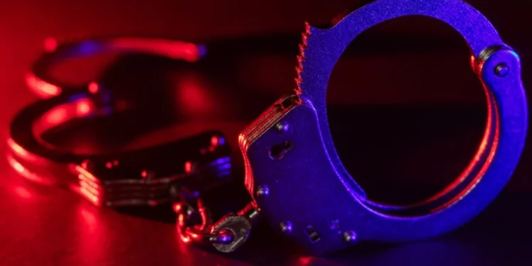 Foto: Shutterstock.com/Skrypnykov Dmytro, ilustracija