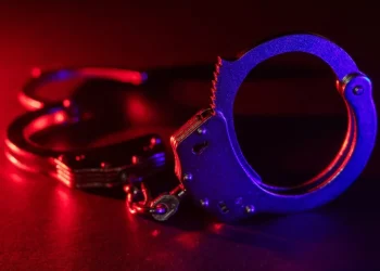 Foto: Shutterstock.com/Skrypnykov Dmytro, ilustracija