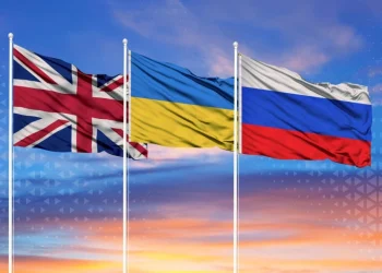 Foto: Shutterstock.com/Africa Stock, ilustracija