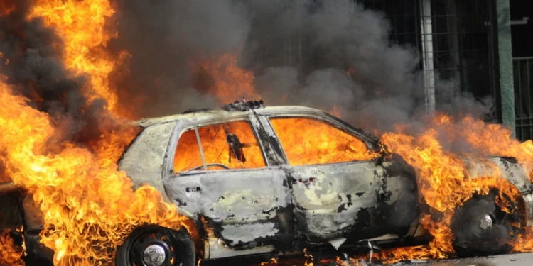 Foto: Shutterstock.com/arindambanerjee, ilustracija