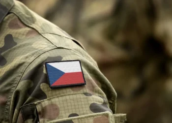 Foto: shutterstock.com/Bumble Dee, ilustracija