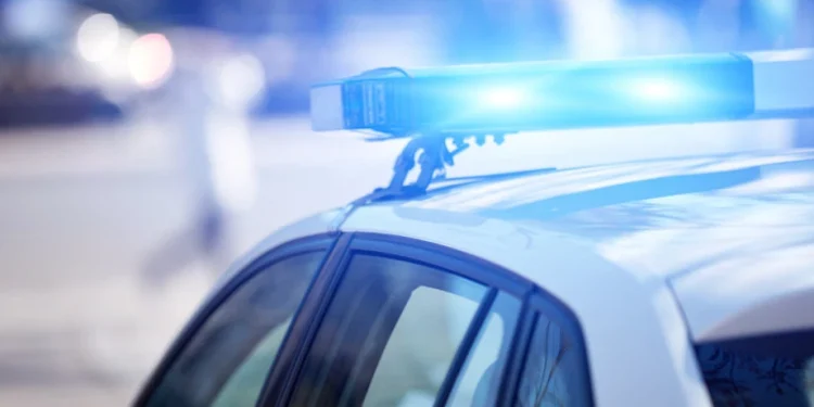 Foto: shutterstock.com/AstroStar, ilustracija