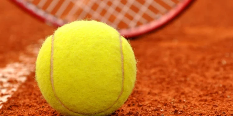 Foto: Shutterstock.com/ jaroslava V, ilustracija