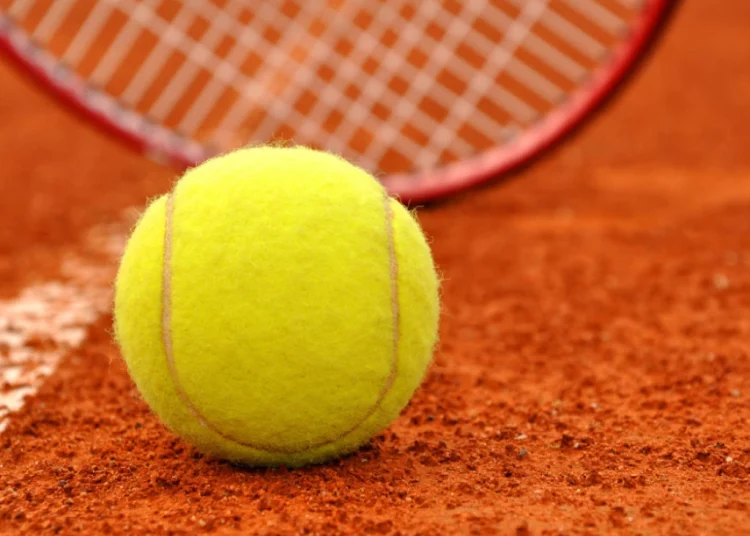 Foto: Shutterstock.com/ jaroslava V, ilustracija