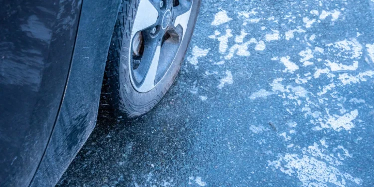 Foto: shutterstock.com/Animaflora PicsStock, ilustracija