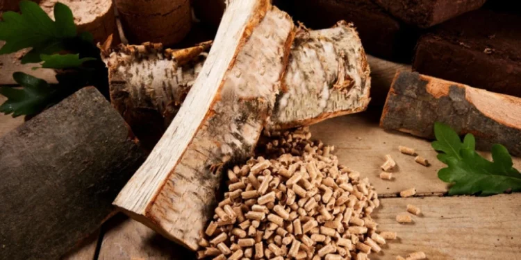 Foto: Shutterstock.com/stockcreations, ilustracija