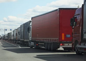 Foto: Shutterstock.com/ilmarinfoto, ilustracija