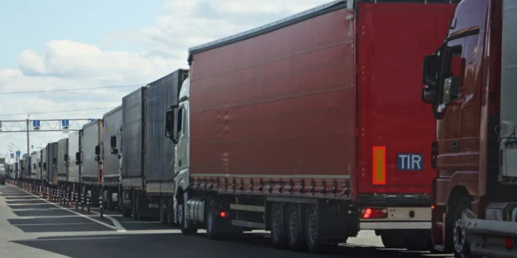 Foto: Shutterstock.com/ilmarinfoto, ilustracija