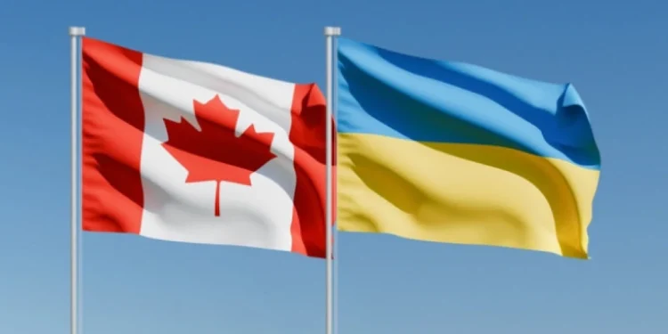 Foto: Shutterstock.com/Zafer Kurt, ilustracija