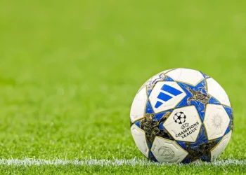 Foto: Shutterstock.com/Orange Pictures