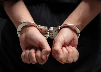 Foto: Shutterstock.com/rawf8, ilustracija