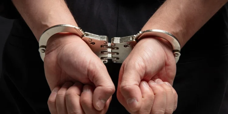 Foto: Shutterstock.com/rawf8, ilustracija