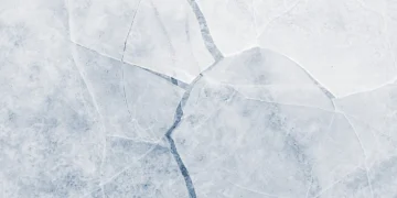 Foto: Shutterstock.com/Stone36, ilustracija