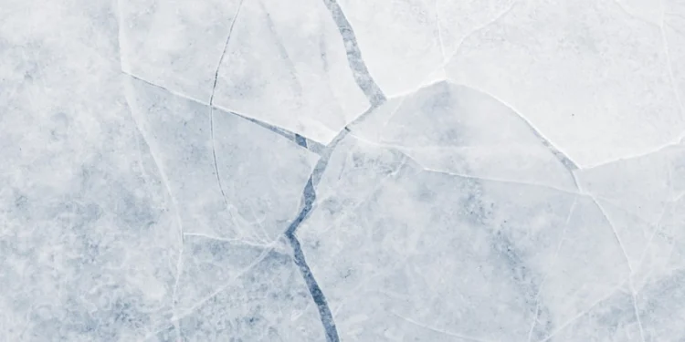 Foto: Shutterstock.com/Stone36, ilustracija