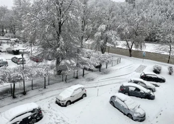 Foto: TANJUG/FOTO STA