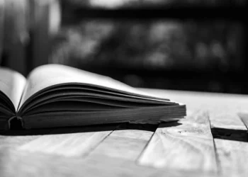 Foto: Shutterstock.com/Benedek Alpar