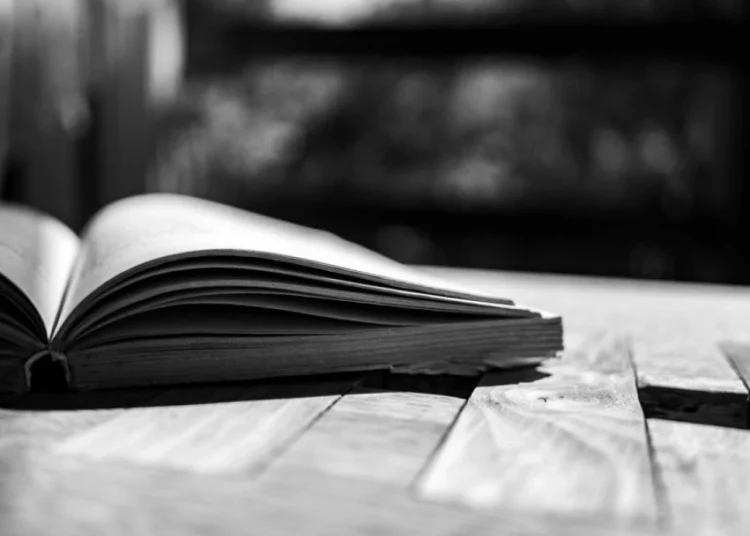 Foto: Shutterstock.com/Benedek Alpar