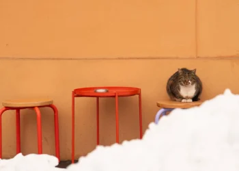 Foto: AP Photo/Vadim Ghirda