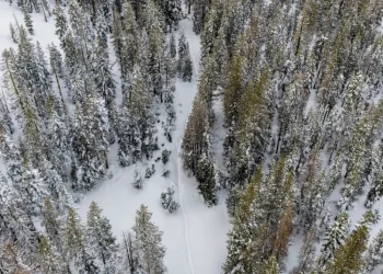 Foto: San Francisco Chronicle via AP/Stephen Lam