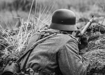 Foto: Shutterstock.com/Grisha Bruev