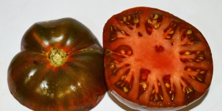 Foto: Delectation of Tomatoes via AP/Dale Thurber